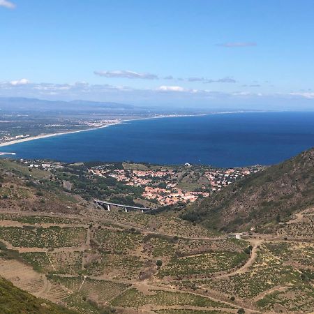 Location Vacances Entre Mer Et Montagnes Argelès-sur-Mer Kültér fotó